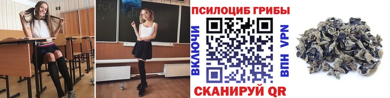 Галлюциногенные грибы ЛСД  Камышин 