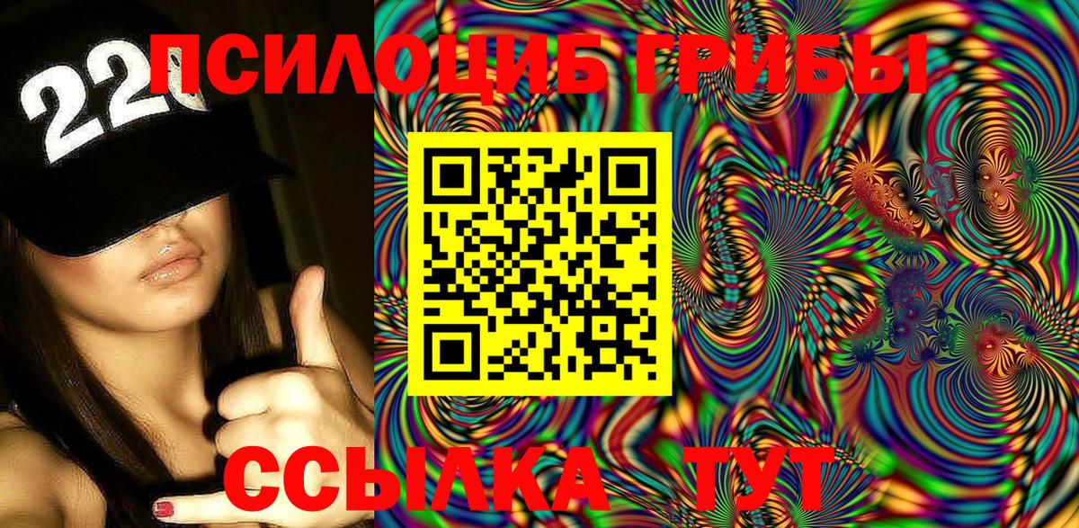 Камышин  магазин  наркотиков  Вход с VPN  Галлюциногенные грибы мицелий  Псилоцибиновые грибы прущие грибы 