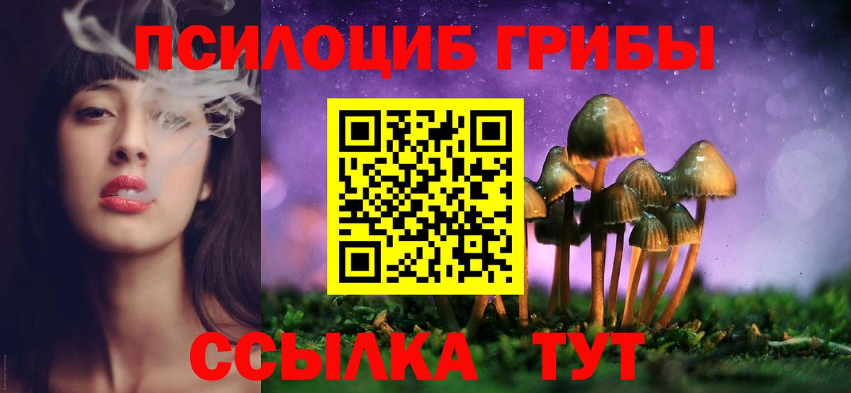 Псилоцибиновые грибы MAGIC MUSHROOMS Камышин