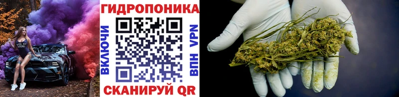 что такое   Камышин  Канабис марихуана 