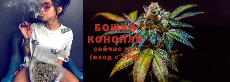 Конопля OG Kush  Камышин 